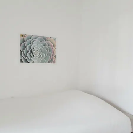 Raphael Saint-Raphaël